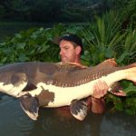 مجموعه تصاویر ماهیان غول پیکر آب شیرین ( Giant Freshwater Fish )